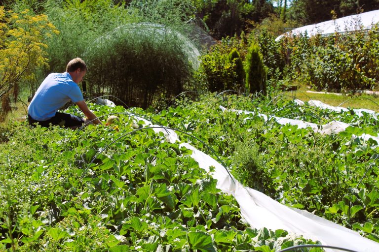 Le Jardin de Sylvain — Photo 7