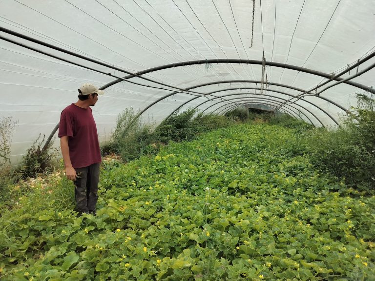 L&rsquo;Épicurie — Photo 7