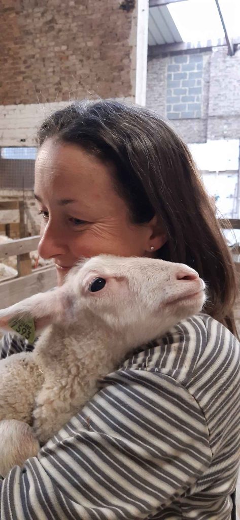 La Bergerie de Kumaye — Image de couverture