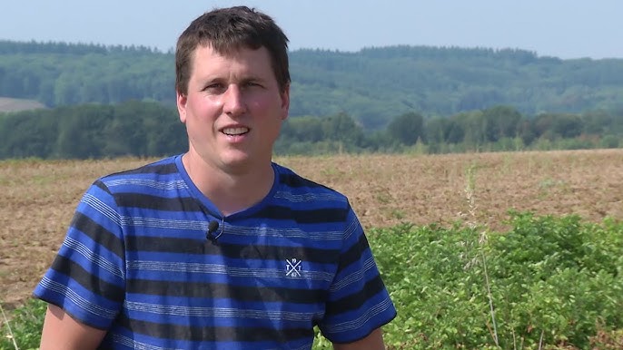 Les pommes de terre de Gérin