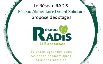 Le Réseau RADiS propose des sujets de stages étudiants